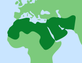 Middle East and North Africa